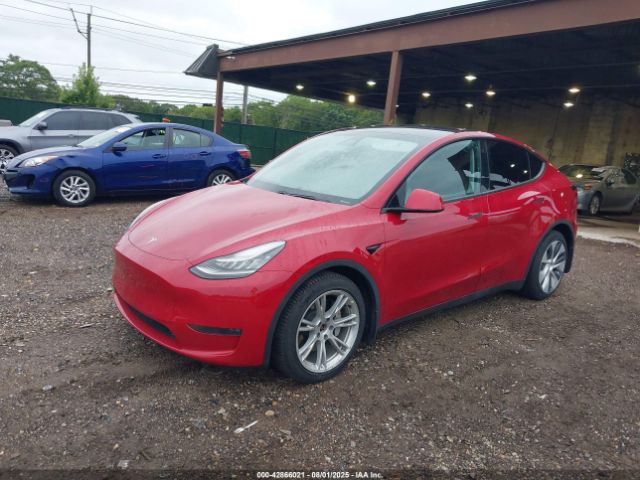 2021 TESLA MODEL Y 5YJYGDEE2MF070746 Photo 1