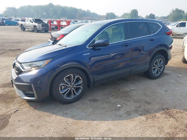 Honda lfb2 2022 5J6RT6H81NL050613 Image 2