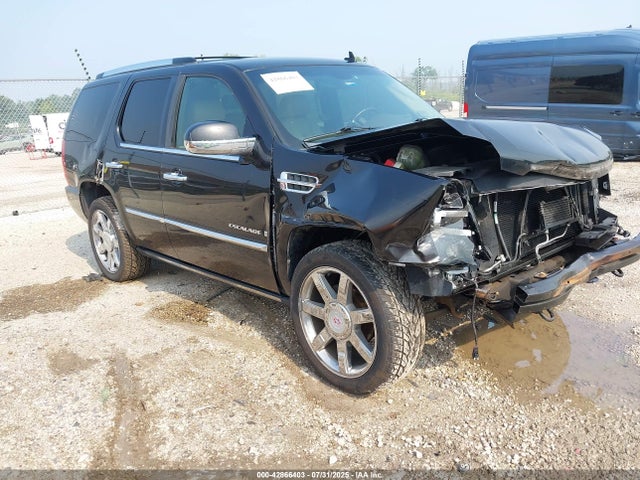 2010 CADILLAC ESCALADE 1GYUKCEF8AR151346 Photo 0