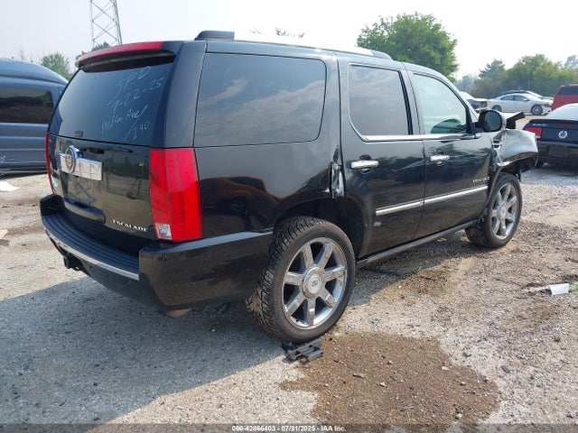 2010 CADILLAC ESCALADE 1GYUKCEF8AR151346 Photo 3