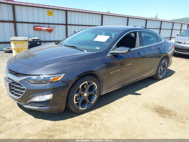 1G1ZD5ST8PF239232 Chevrolet lfv