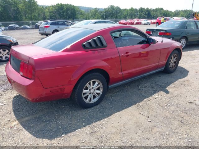 2007 FORD MUSTANG 1ZVFT80N575323451 Photo 3