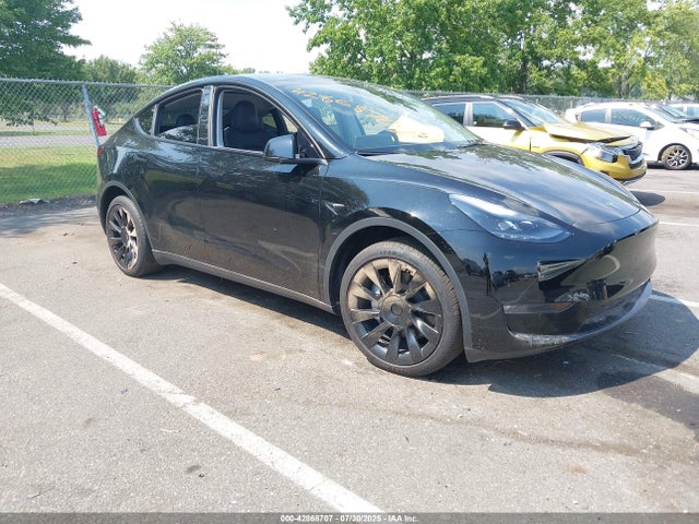 2023 TESLA MODEL Y 7SAYGDEE0PF856083 Photo 0