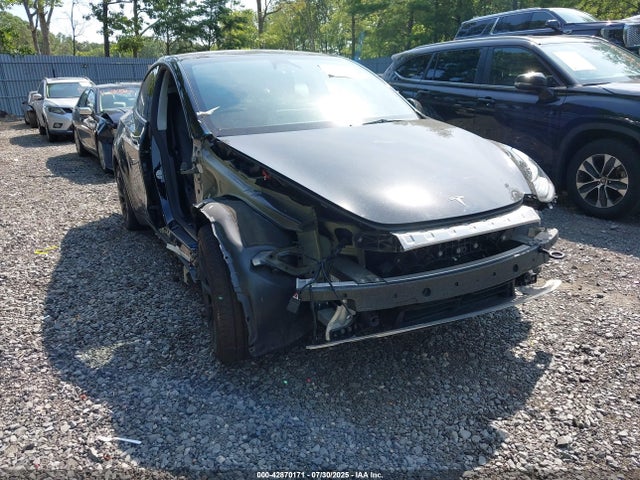2023 TESLA MODEL Y 7SAYGDEE5PA166004 Photo 0