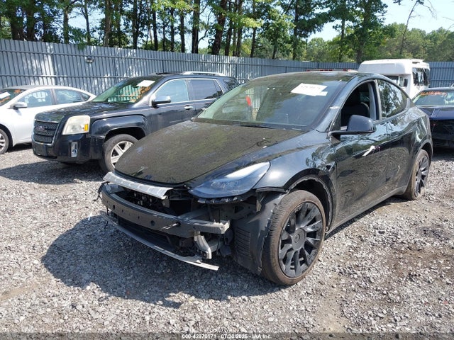 2023 TESLA MODEL Y 7SAYGDEE5PA166004 Photo 1