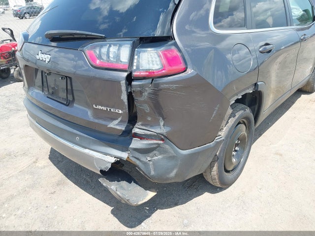 1C4PJLDB4LD653596 Jeep Cherokee