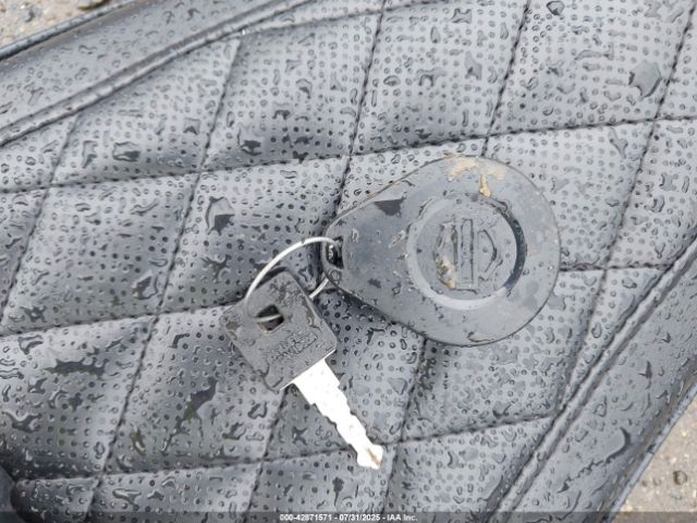 2021 HARLEY-DAVIDSON XL1200 1HD1LP312MB409229 Photo 10