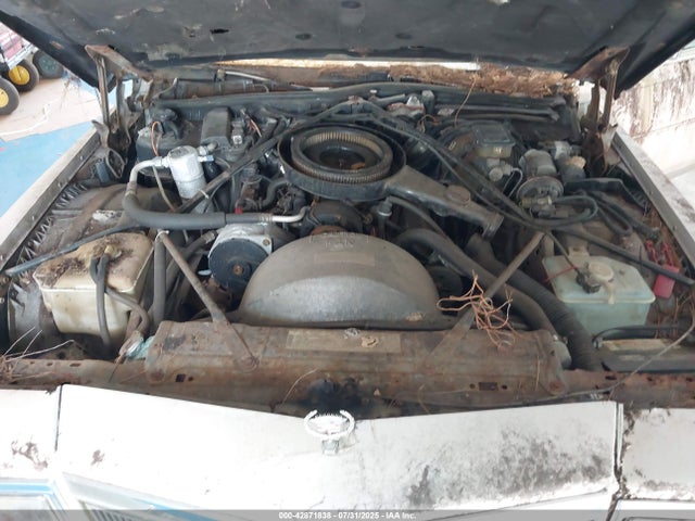 1984 CADILLAC FLEETWOOD 1G6AW6988E9068535 Photo 9