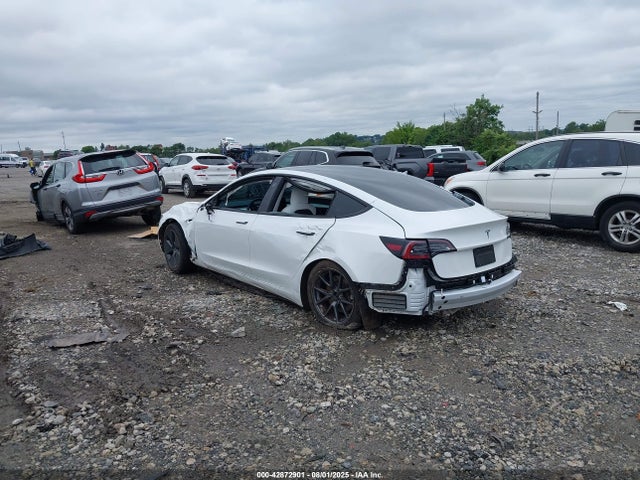 2023 TESLA MODEL 3 5YJ3E1EA5PF395522 Photo 2