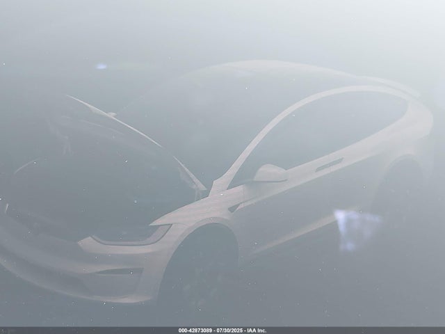 Tesla 2025 2025 7SAXCDE54SF468578 Image 19