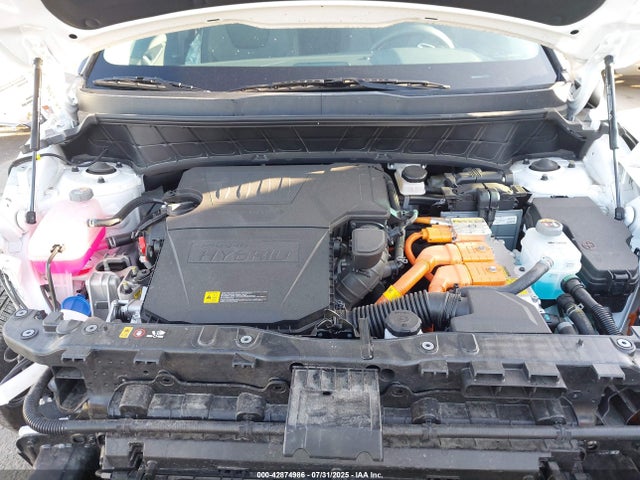KIA Niro Plug-in Hybrid Ex 2025 KNDCS3LF7S5231590 Image 10