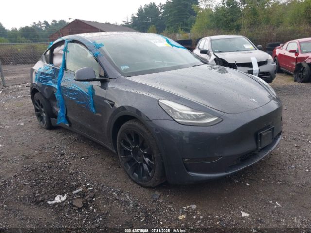 2022 TESLA MODEL Y 7SAYGDEEXNF387260 Photo 0