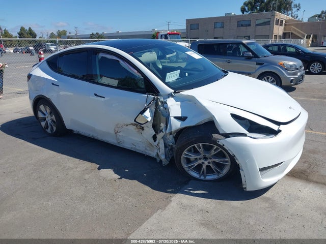 2023 TESLA MODEL Y 7SAYGDED8PF940577 Photo 0