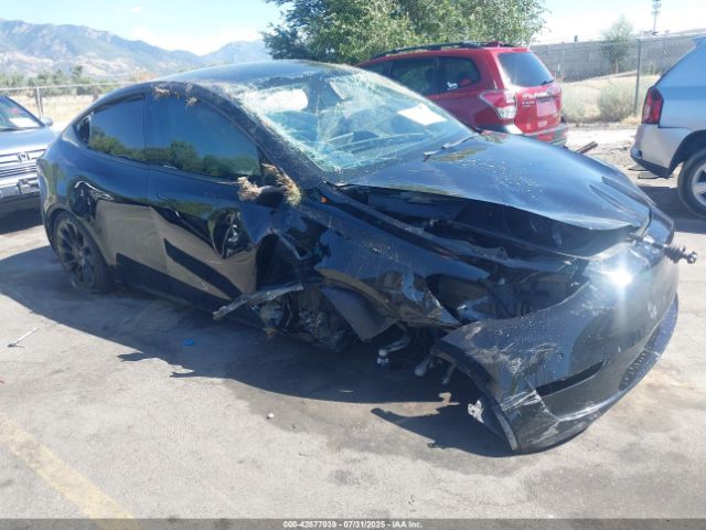 2020 TESLA MODEL Y 5YJYGDEE2LF049958 Photo 0