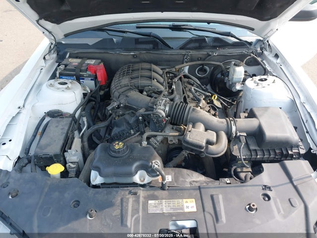 1ZVBP8AM6E5226846 Ford Mustang