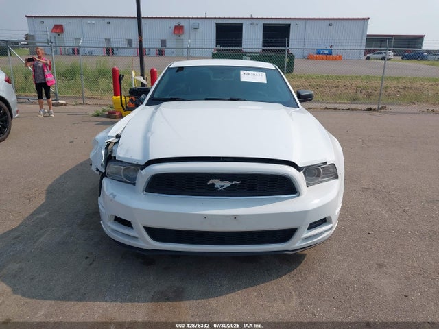 1ZVBP8AM6E5226846 Ford Mustang