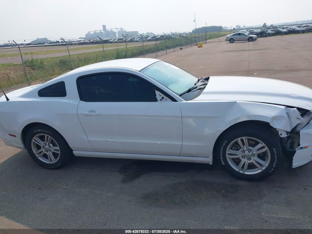 1ZVBP8AM6E5226846 Ford Mustang