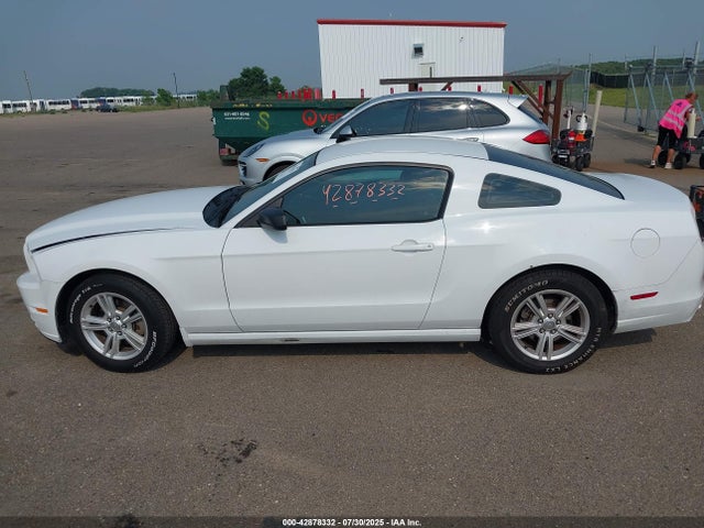 1ZVBP8AM6E5226846 Ford Mustang