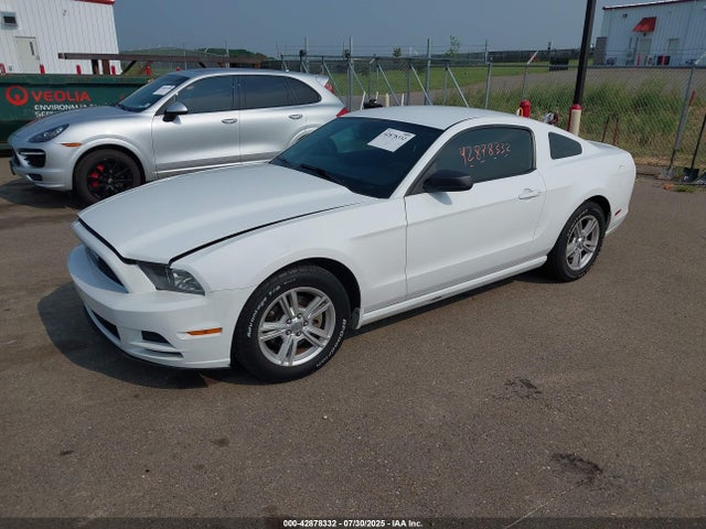 1ZVBP8AM6E5226846 Ford Mustang