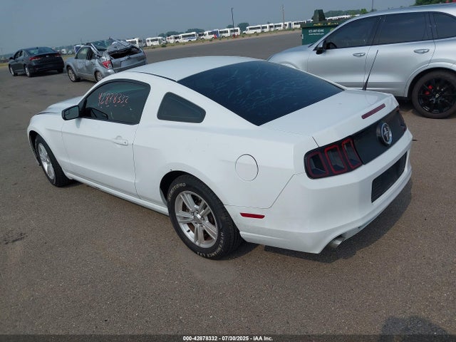 1ZVBP8AM6E5226846 Ford Mustang