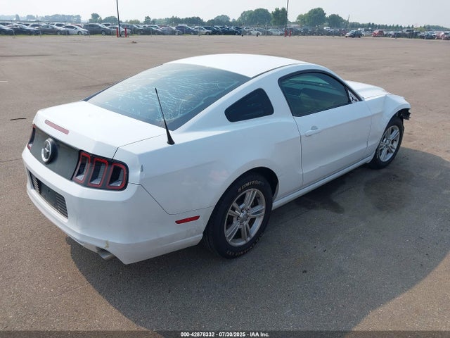 1ZVBP8AM6E5226846 Ford Mustang
