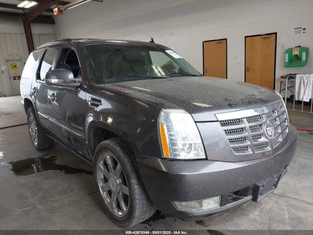 2010 CADILLAC ESCALADE 1GYUKCEF5AR254935 Photo 0