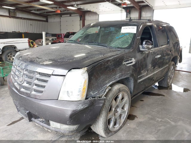 2010 CADILLAC ESCALADE 1GYUKCEF5AR254935 Photo 1