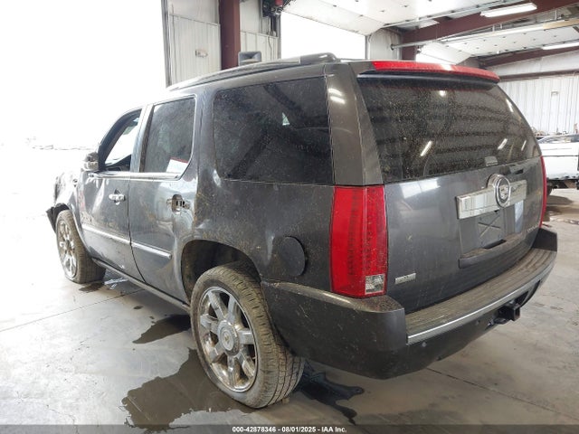 2010 CADILLAC ESCALADE 1GYUKCEF5AR254935 Photo 2