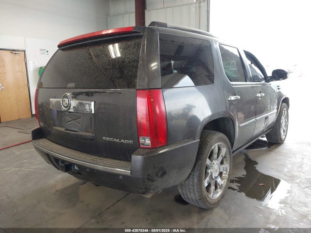 2010 CADILLAC ESCALADE 1GYUKCEF5AR254935 Photo 3