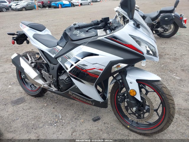 Kawasaki Ninja 300 2014 JKAEX8A16EA003973 main image