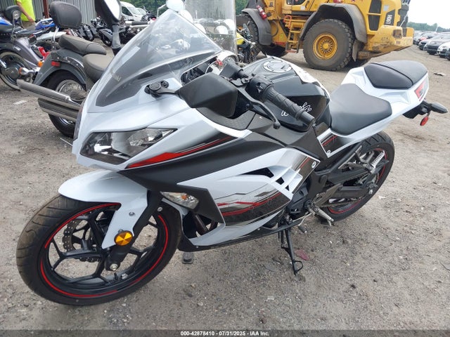 Kawasaki Ninja 300 2014 JKAEX8A16EA003973 Image 2