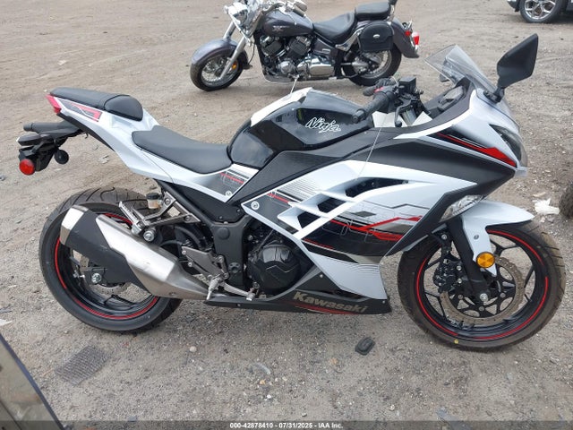 Kawasaki Ninja 300 2014 JKAEX8A16EA003973 Image 12