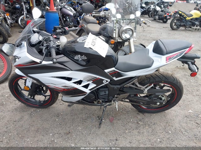 Kawasaki Ninja 300 2014 JKAEX8A16EA003973 Image 13