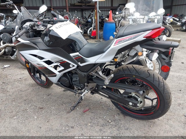 Kawasaki Ninja 300 2014 JKAEX8A16EA003973 Image 3