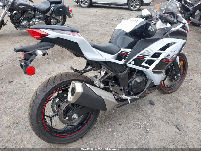 Kawasaki Ninja 300 2014 JKAEX8A16EA003973 Image 4