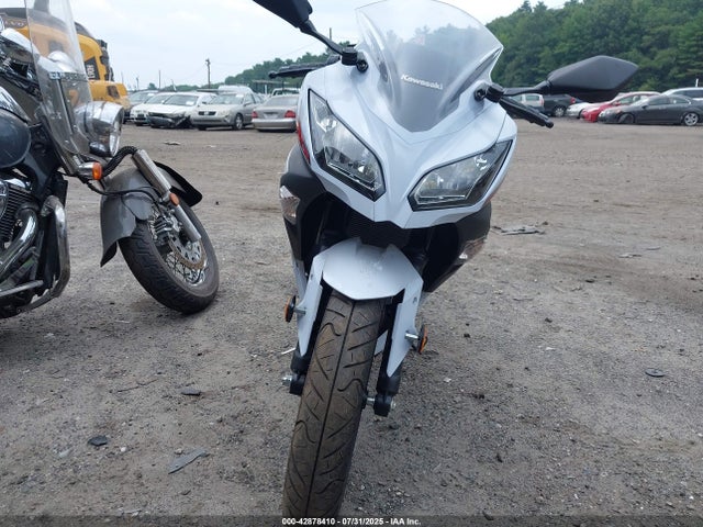 Kawasaki Ninja 300 2014 JKAEX8A16EA003973 Image 5