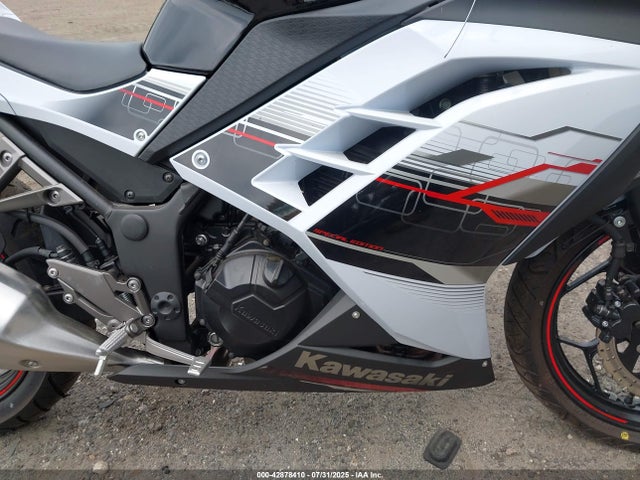 Kawasaki Ninja 300 2014 JKAEX8A16EA003973 Image 8
