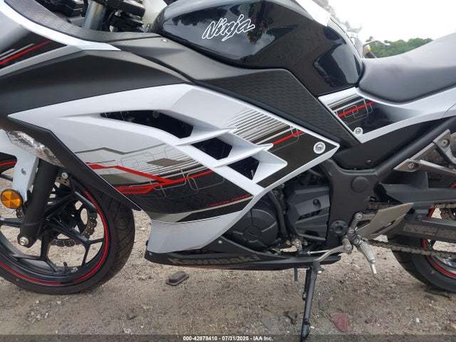 Kawasaki Ninja 300 2014 JKAEX8A16EA003973 Image 9