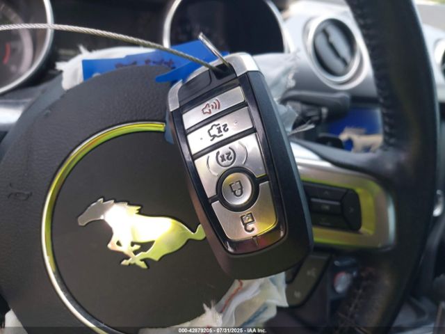 2019 FORD MUSTANG 1FA6P8TH1K5204257 Photo 10