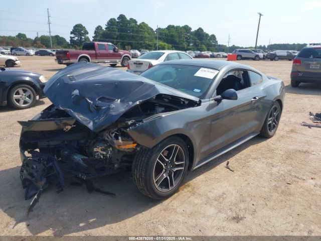 2019 FORD MUSTANG 1FA6P8TH1K5204257 Photo 1