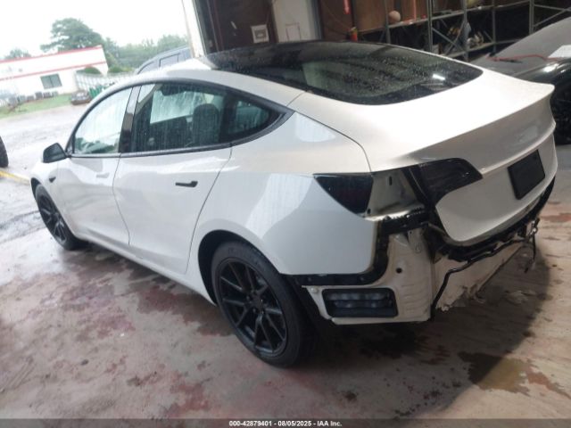 2021 TESLA MODEL 3 5YJ3E1EBXMF858291 Photo 2