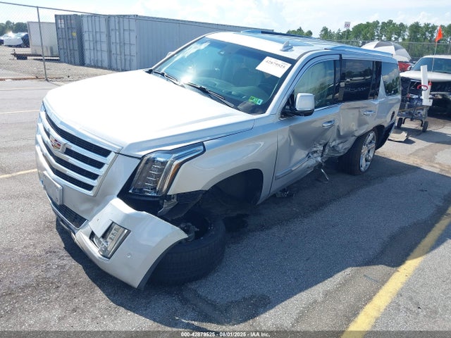2019 CADILLAC ESCALADE 1GYS4CKJ3KR164677 Photo 1