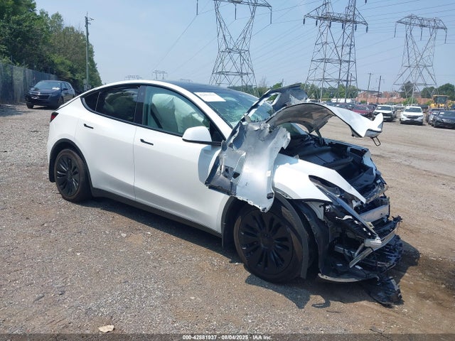 2023 TESLA MODEL Y 7SAYGDEE6PF634308 Photo 0