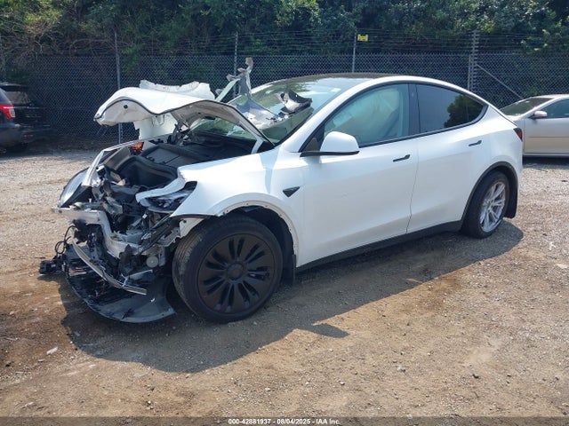 2023 TESLA MODEL Y 7SAYGDEE6PF634308 Photo 1