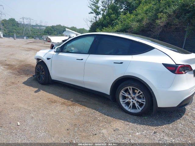 2023 TESLA MODEL Y 7SAYGDEE6PF634308 Photo 2