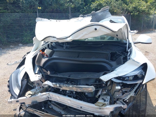 2023 TESLA MODEL Y 7SAYGDEE6PF634308 Photo 5