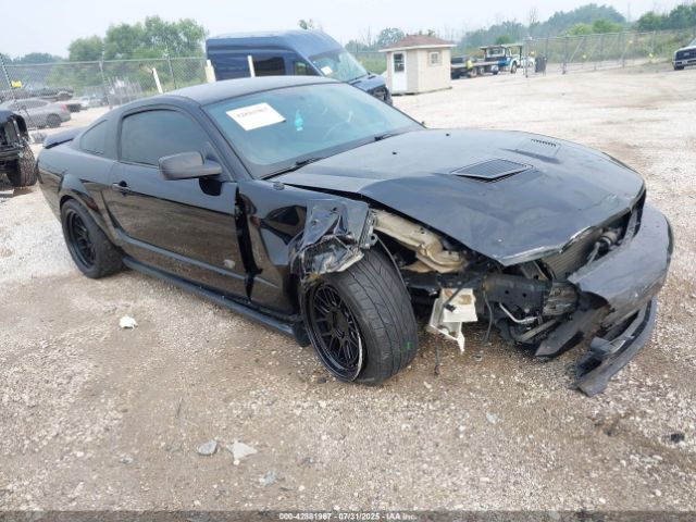 2009 FORD SHELBY GT500 1ZVHT88S895126134