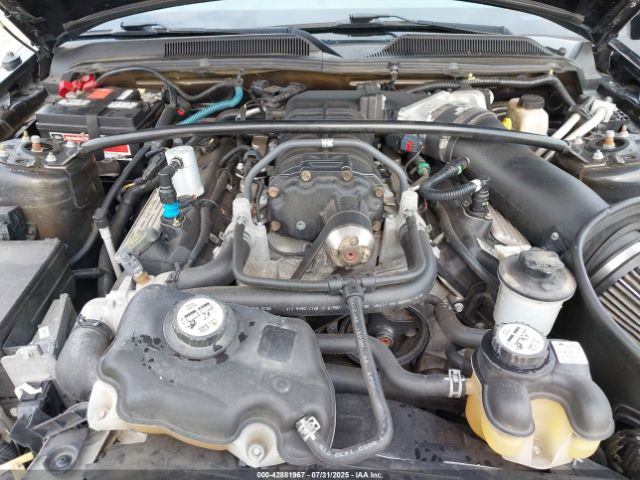 2009 FORD SHELBY GT500 1ZVHT88S895126134 Photo 9