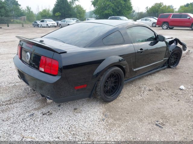 2009 FORD SHELBY GT500 1ZVHT88S895126134 Photo 3