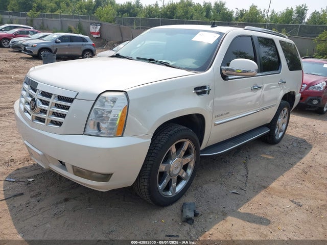 2010 CADILLAC ESCALADE 1GYUKBEF1AR244378 Photo 1